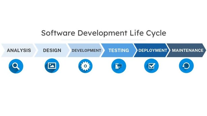 The software development lifecycle begins with analysis before moving to design, development, and testing. Next comes deployment and finally, maintenance. 